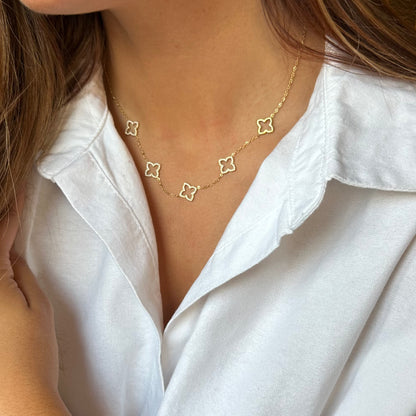Collier Leicester